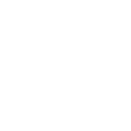 Smile Makeover Icon