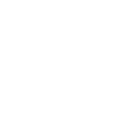 Icon for Single Sitting Root Canal Treatment