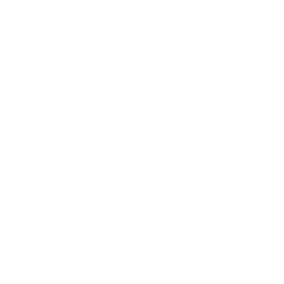 Icon for Prosthodontics